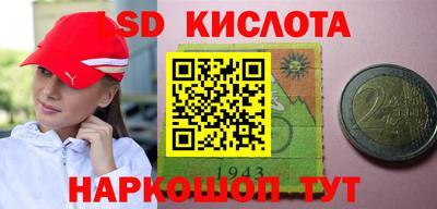 мдпв Гатчина